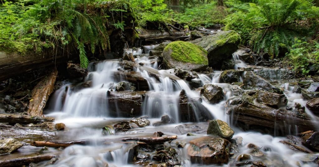 Time Lapse of River