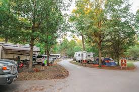 CAmpground at Reelfoot Lake The campground at Reelfood Lake State Park